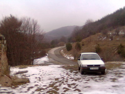 Troqnovi vrata.jpg