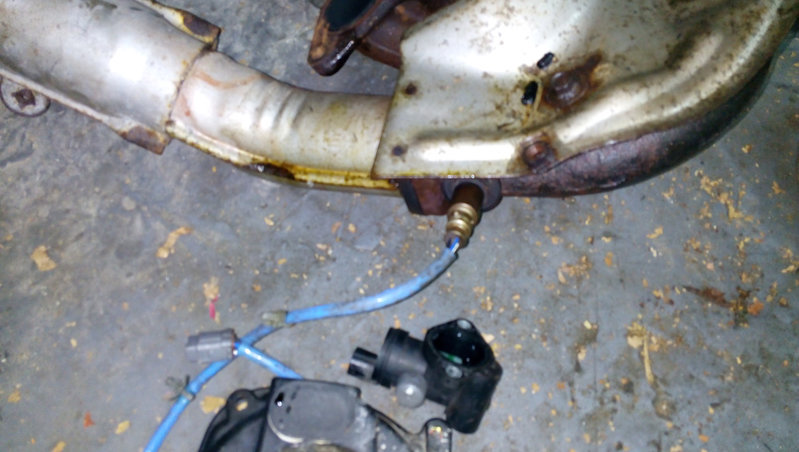 exhaust2.jpg