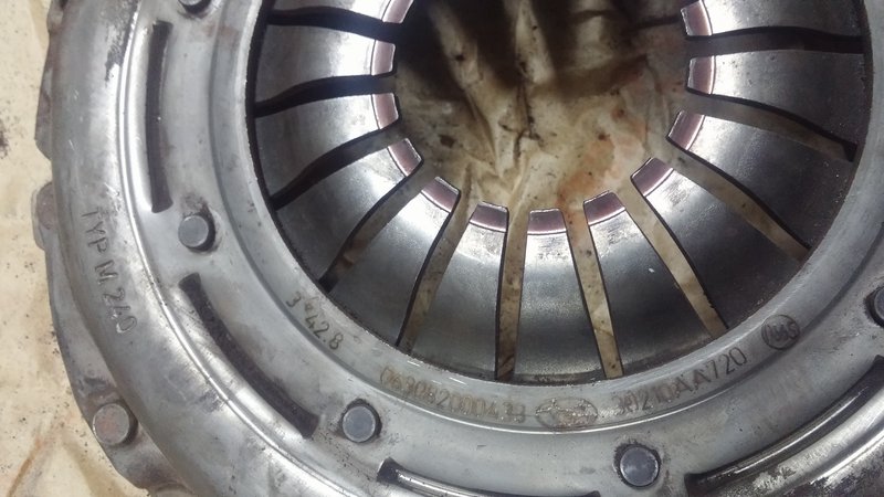 20171116_121538.jpg