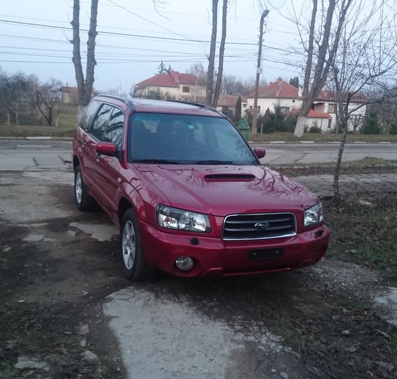 _20180210_202510.JPG