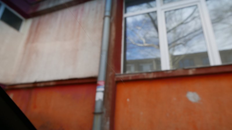 P2050539.JPG
