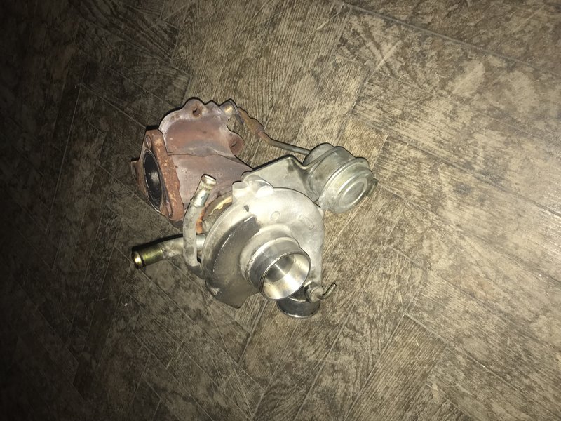 IMG_5374.JPG