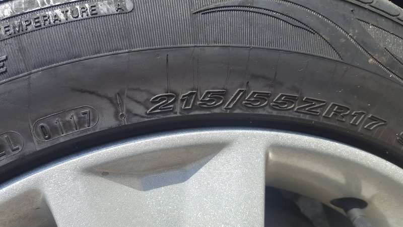 20180425_140758.jpg