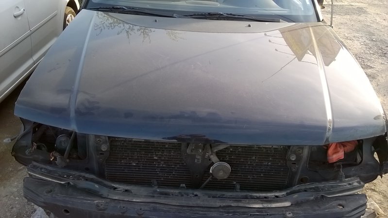 WP_20160403_18_37_39_Pro.jpg