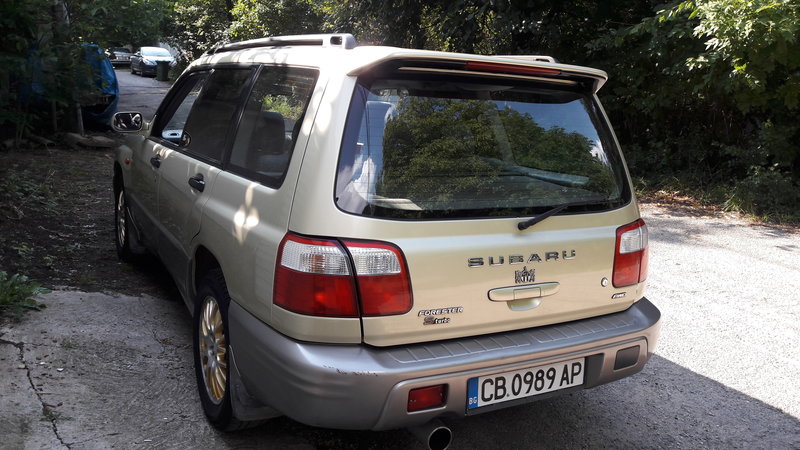 20180703_165747.jpg