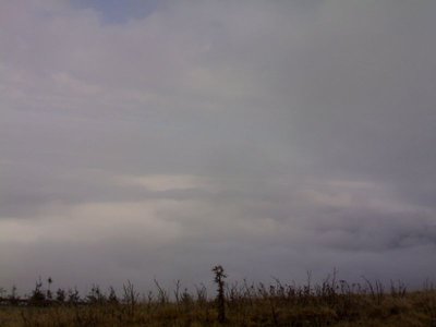 resized_05122009(012).jpg