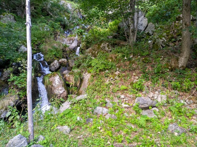 08-pryskalce.jpg