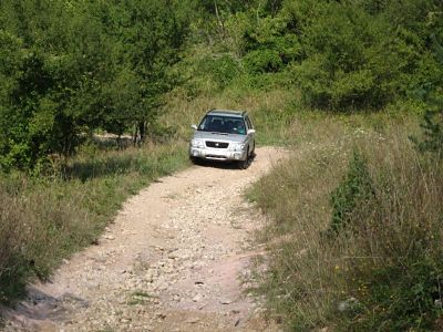IMG_2582_opt.jpg
