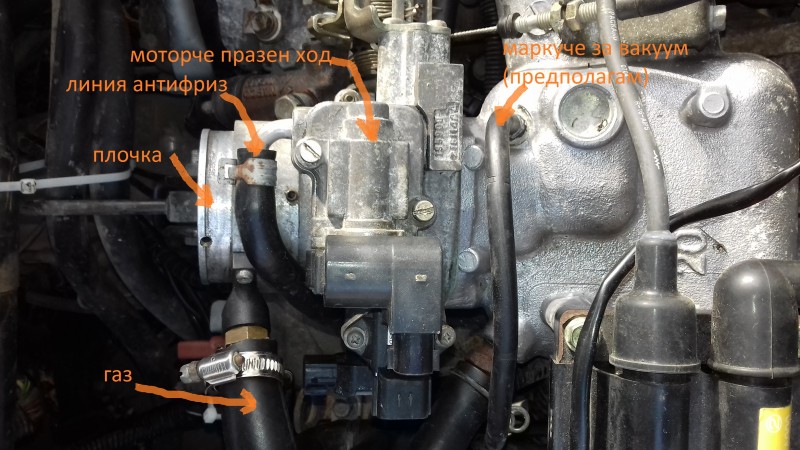 20181205_110927.jpg