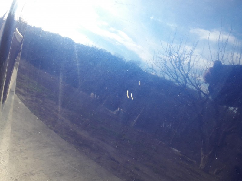 20190131_101950.jpg
