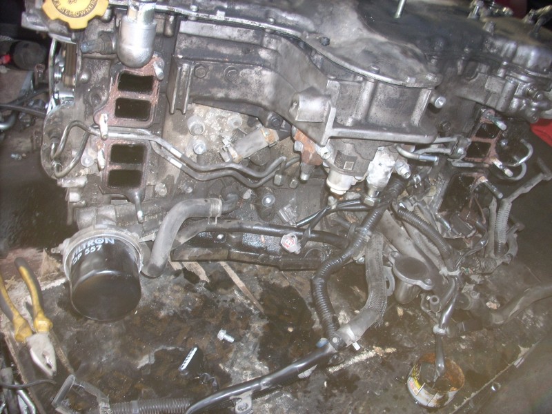 DSCN0075.JPG