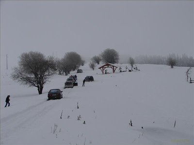 tn_DSC00068.jpg