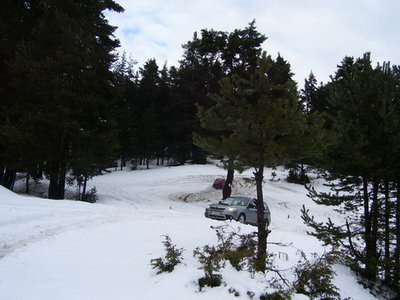 Picture 010_resize_resize_resize.jpg