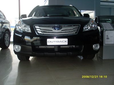 SL371047.JPG
