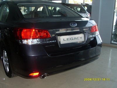SL371049.JPG