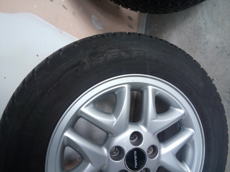 20190423_080613.jpg