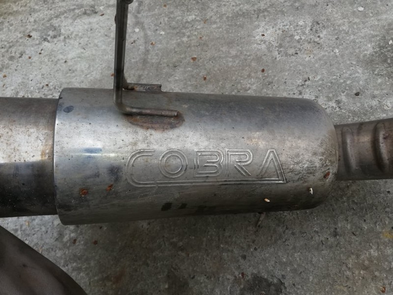 cobra4.jpg