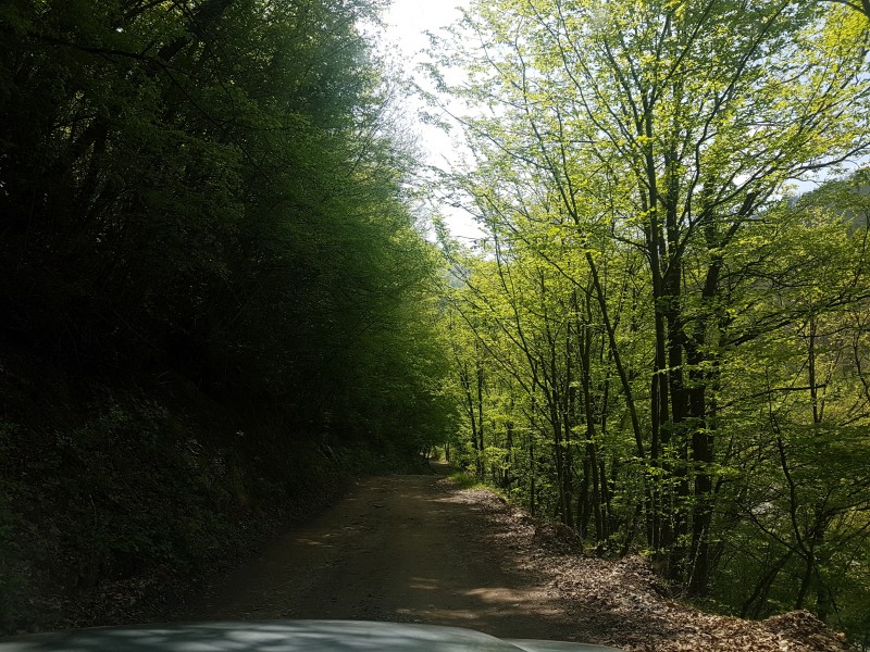 20190426_123712.jpg