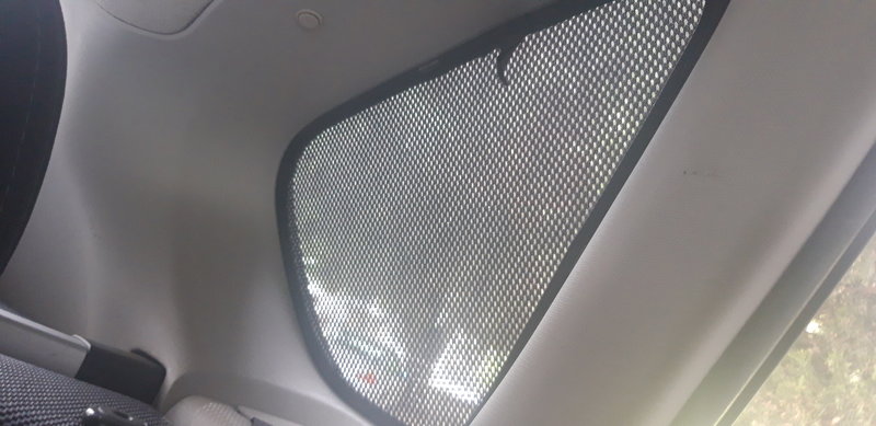 20190524_104131.jpg