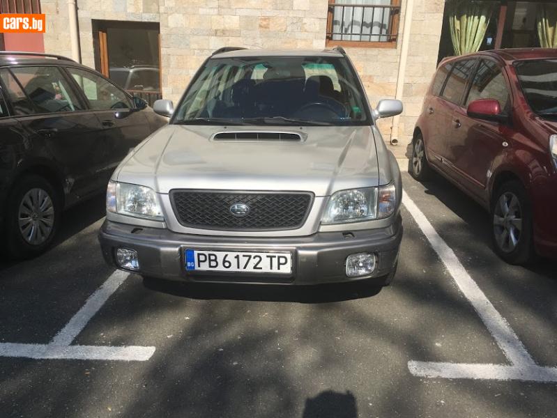 30548016o.jpg