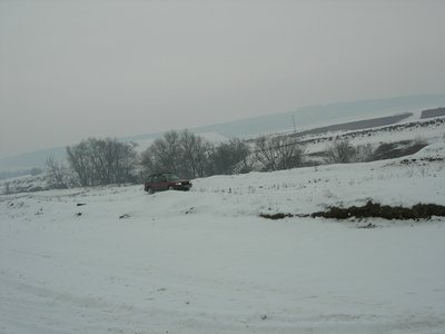 DSCN6187.JPG