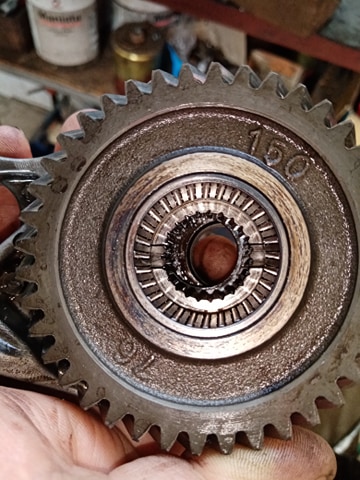 73306687_1244810689053533_6750023855693103104_n.jpg