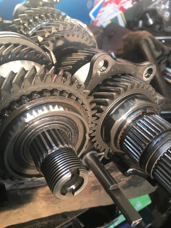 72694582_1252893231585996_7088339937132544000_n.jpg