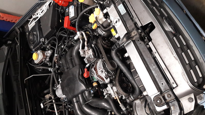 20190619_212901.jpg
