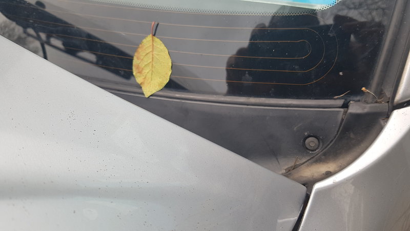 20191130_140619.jpg