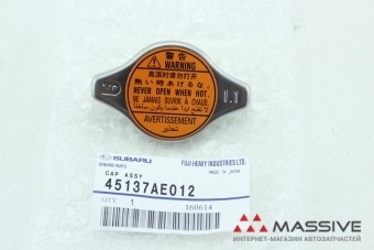 45137ae012.jpg