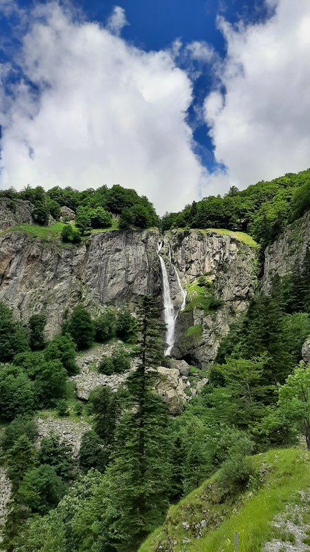 20190630_140531.jpg