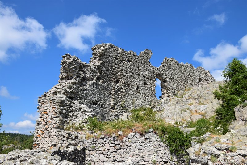 DSC_1099.jpg