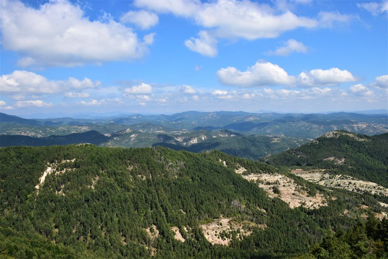 DSC_1124.jpg