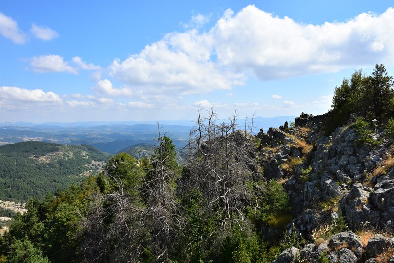 DSC_1125.jpg