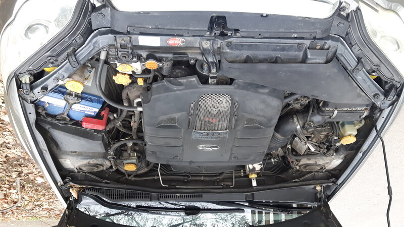 20201230_151340.jpg