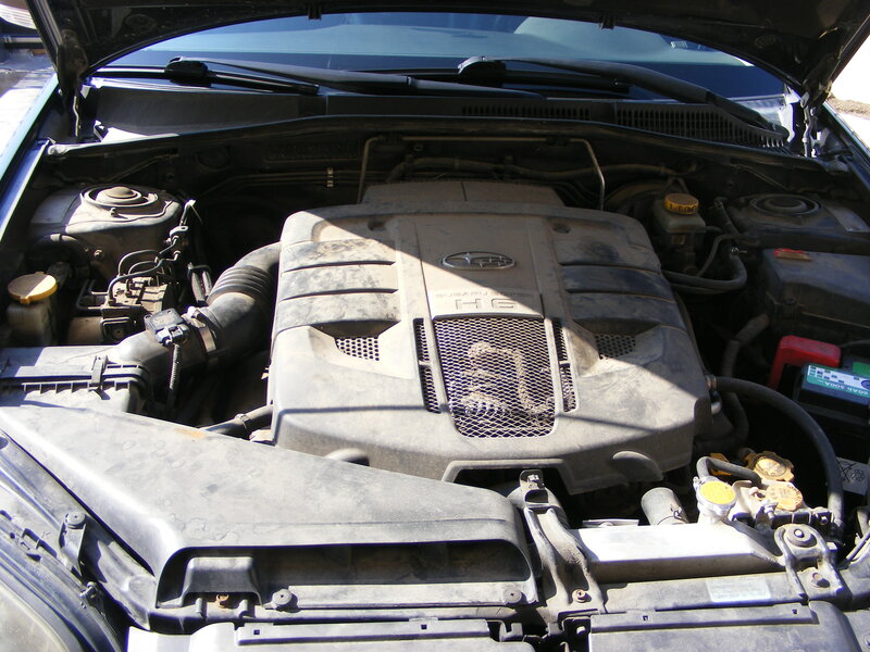 DSCF8378.JPG