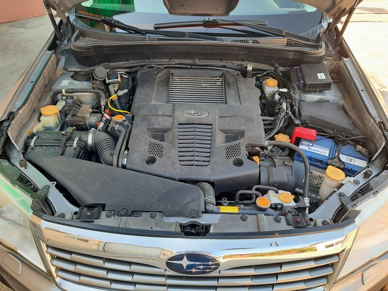 20200804_171337.jpg