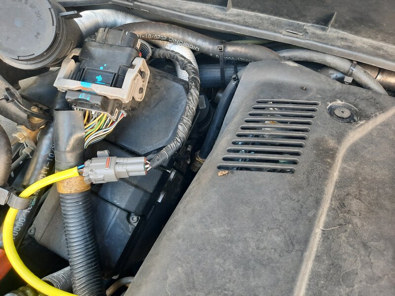 20200804_171345.jpg