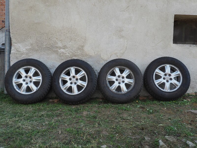 P9120004_resz.JPG