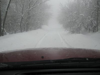 Picture 392.jpg