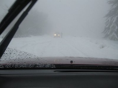 Picture 396.jpg
