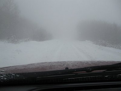 Picture 426.jpg