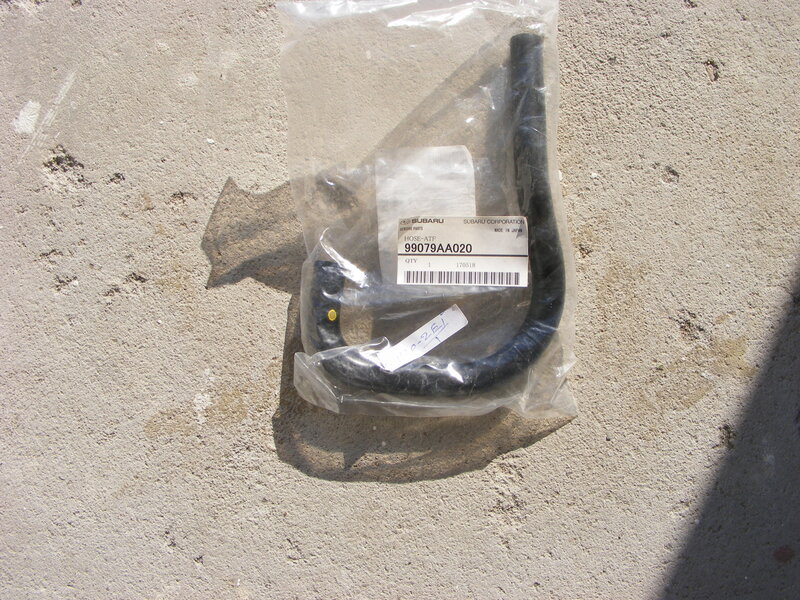 DSCF8411.JPG