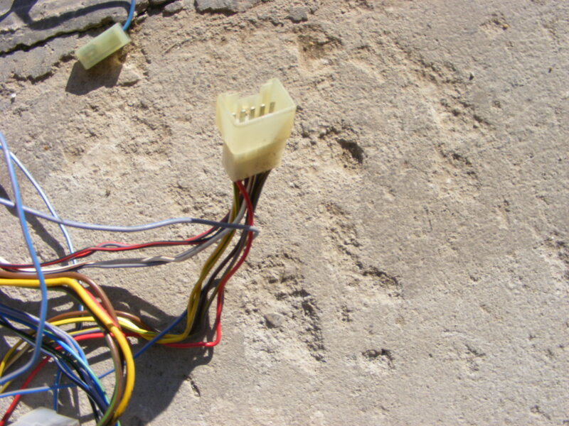 DSCF8404.JPG