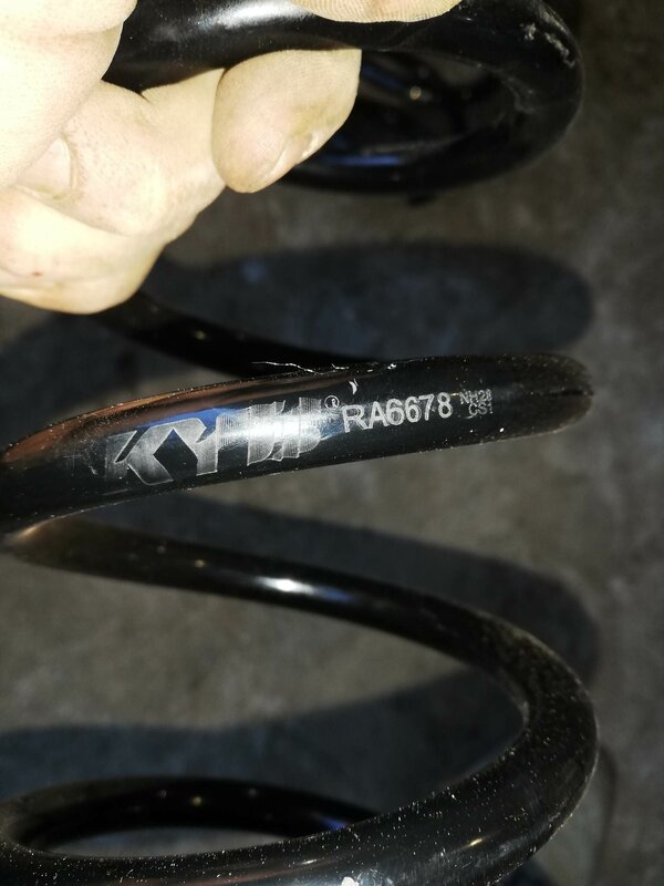 pruj1.jpg