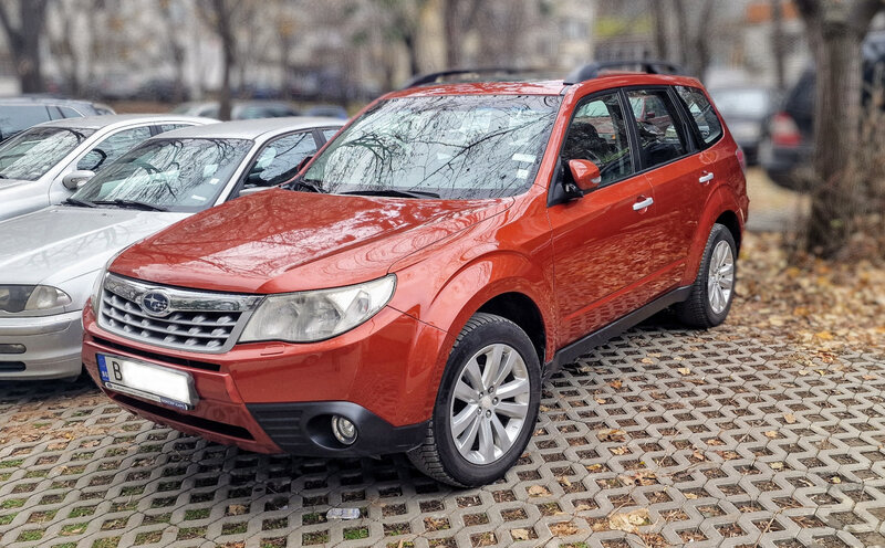 Forester 1.jpg