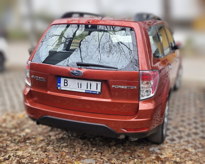 Forester 2.jpg