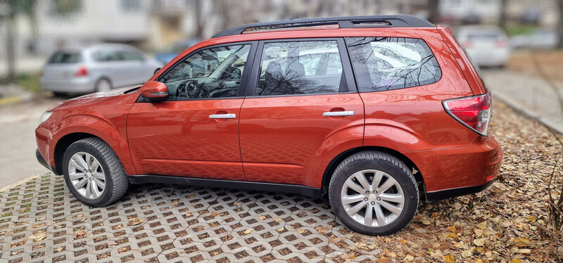 Forester 3.jpg