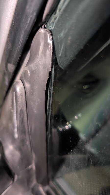 PXL_20251214_154649461.jpg
