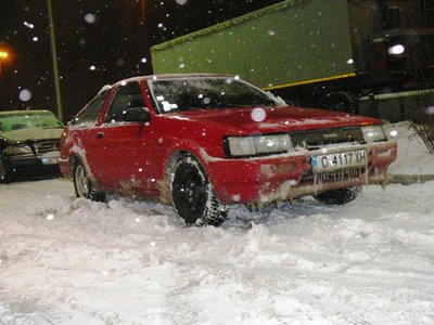 beguni 011.jpg